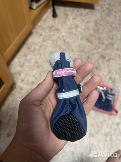 Обувь для маленькой собачки