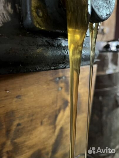 Мёд урожай 2023