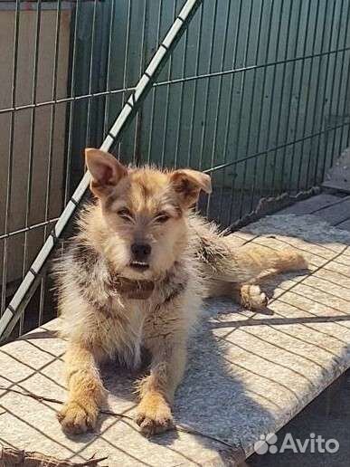 Звоночек в частный дом