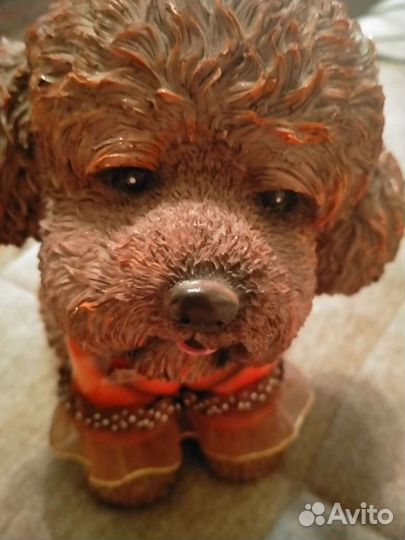 Копилка собака