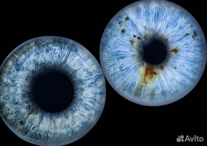 Фотостудия радужки глаза