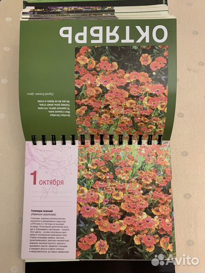 Календарь. Лучшие сады парки мира