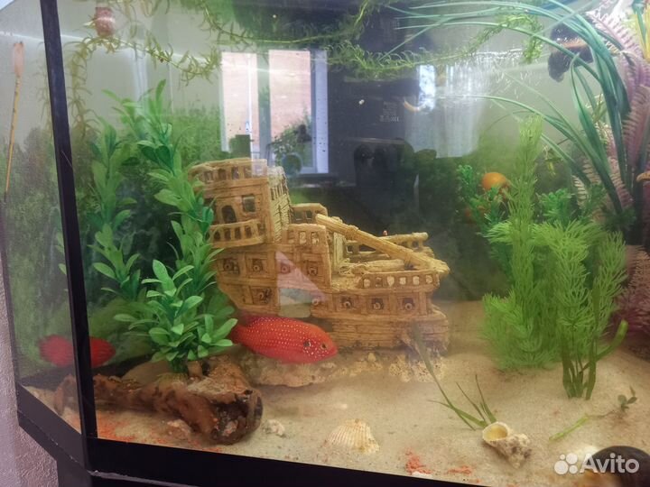 Аквариум с тумбой