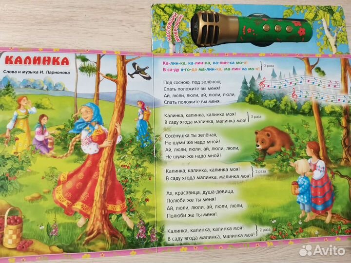 Микрофон Караоке русские народные песни в книге