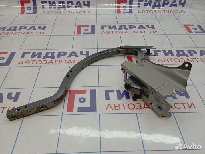 Петля крышки багажника Lexus IS250 (XE30) 64510-53