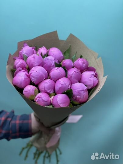 Пионы цветы Оптом