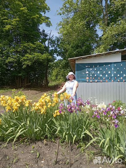 Няня, с проживанием, 6/1 5/2 или вахта 30/30