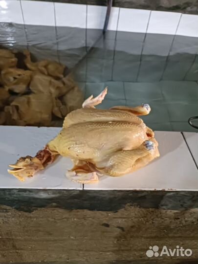 Куры бройлеры тушки мясо