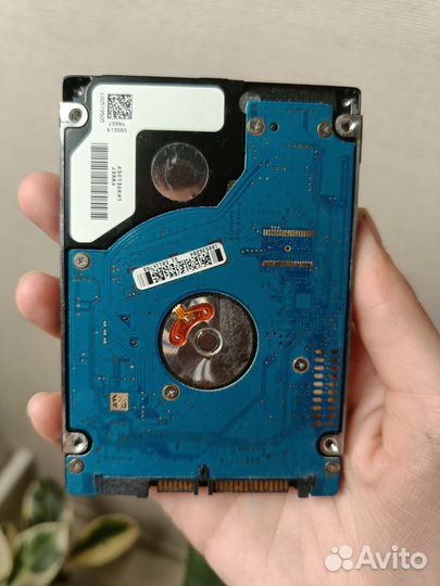 Жесткий диск momentus 5400.6 250 GB