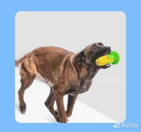 Игрушка для собак