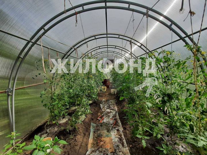 Участок 3,6 сот. (СНТ, ДНП)