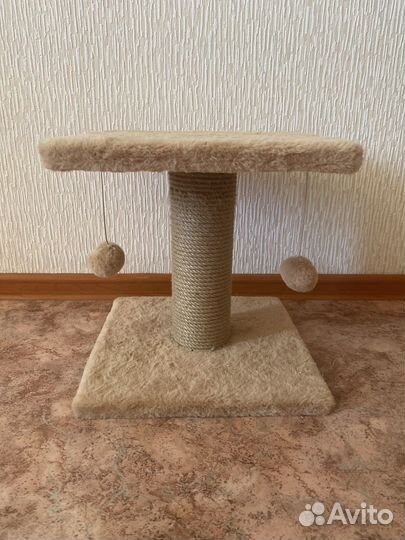 Когтеточка