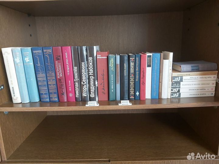 Поэзия серебряного века и другая разная