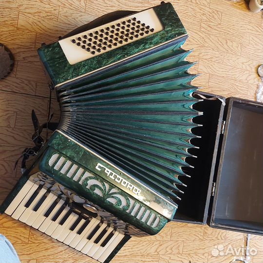 Аккордеон юность3