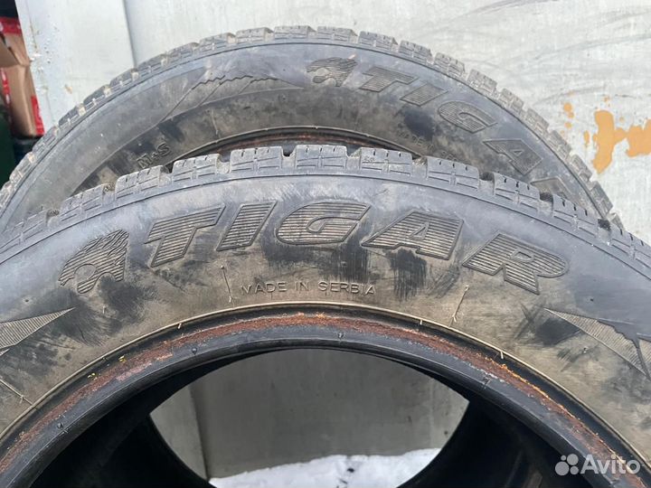 Tigar Sigura Stud 185/65 R15
