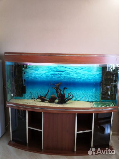 Панорамный аквариум с тумбой