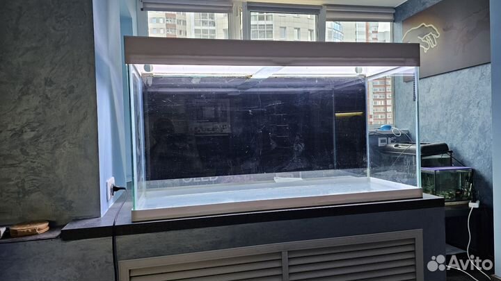 Аквариум