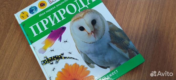 Книги, энциклопедии