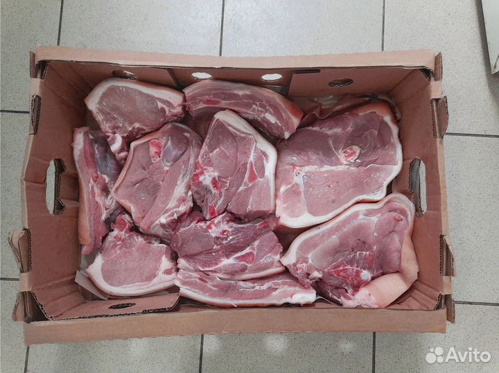 Мясо свинина