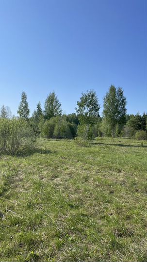 Участок 7,5 га (СНТ, ДНП)