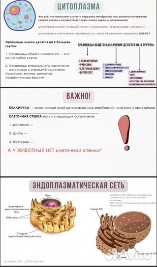 Репетитор по биологии онлайн (егэ и огэ)