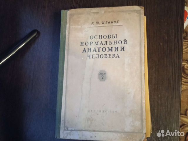 Анатомия человека