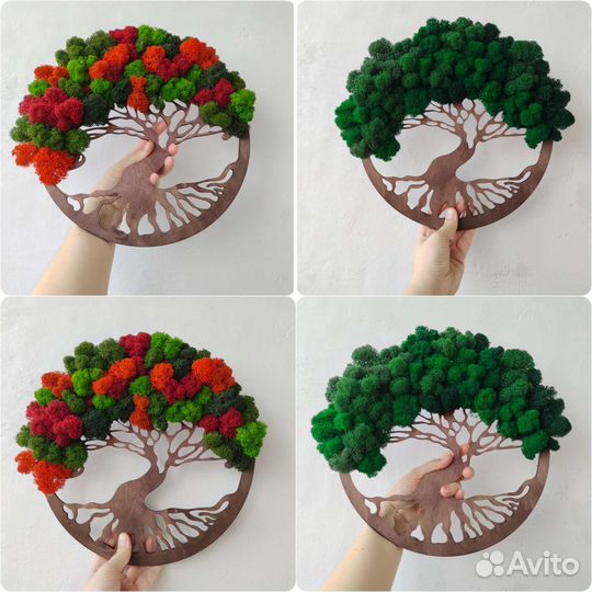 Панно со мхом