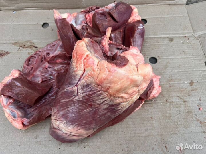 Сердце говяжье