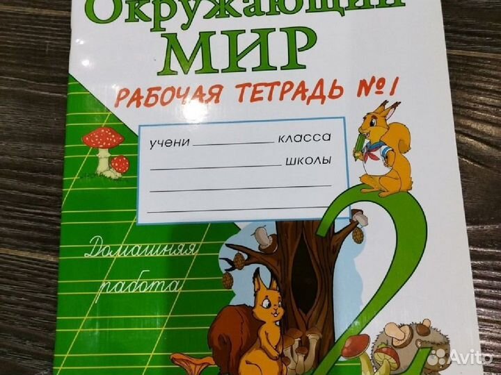 Рабочая тетрадь Окружающий мир 2 класс
