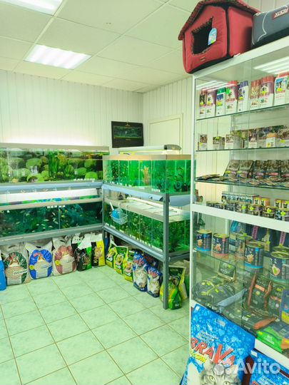 Корма для животных