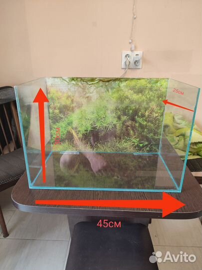 Аквариум для рыбок