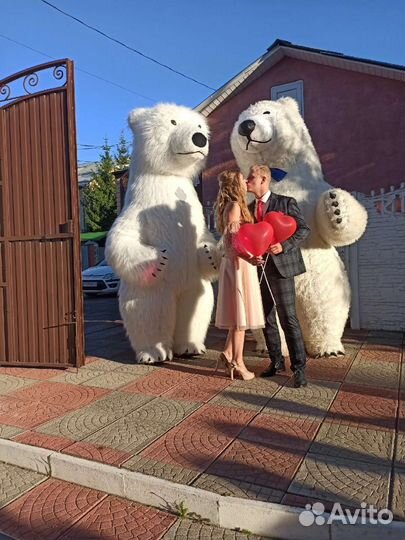 Малыш Умка. Белый медведь. Аэро медведь.Аниматор