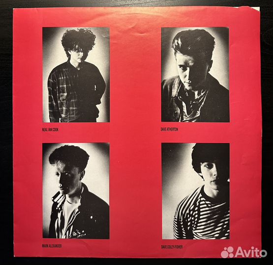 The Wild Flowers – Sometime Soon (Англия 1988г.)