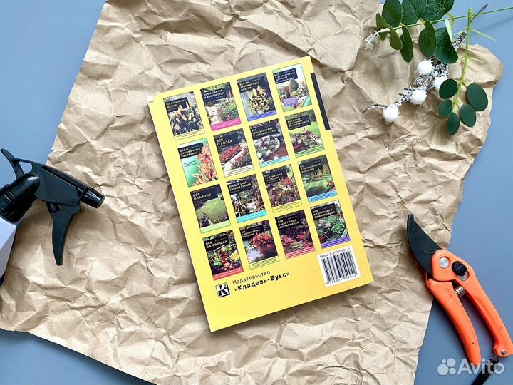 Все о комнатных растениях