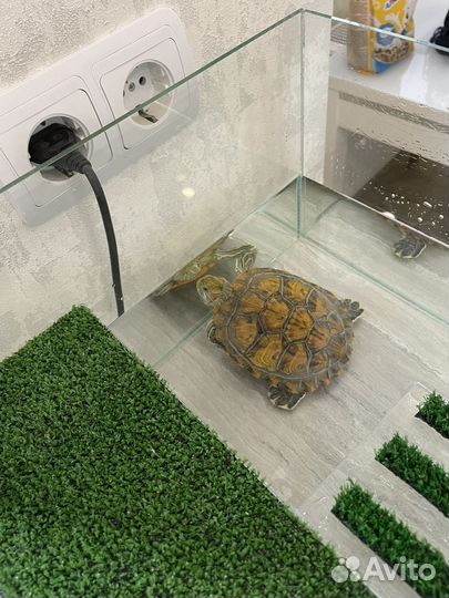 Аквариум для черепахи + фильтр