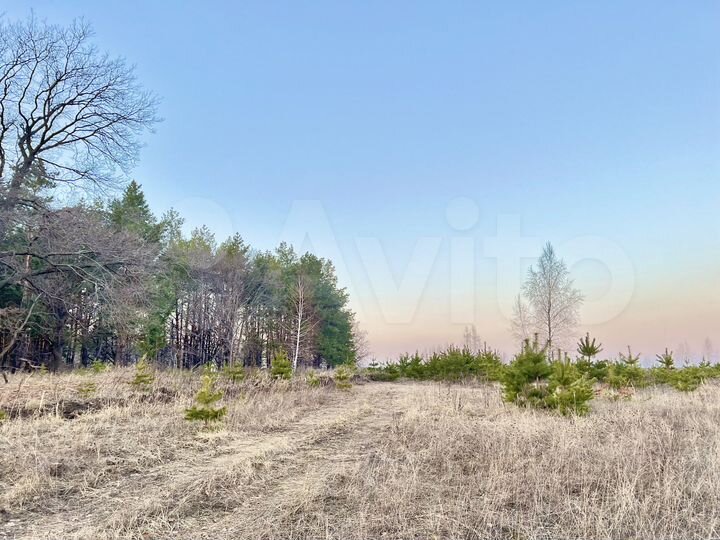 Участок 8 сот. (ИЖС)