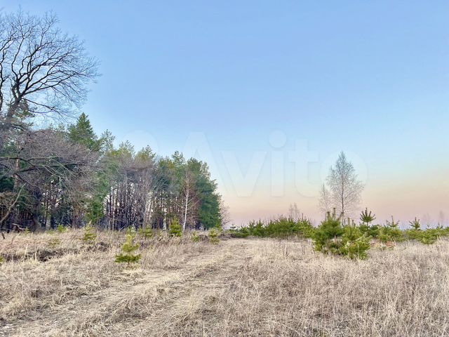 Участок 8 сот. (ИЖС)