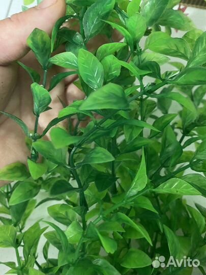 Искусственные растания для аквариума