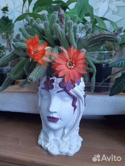 Кашпо для цветов