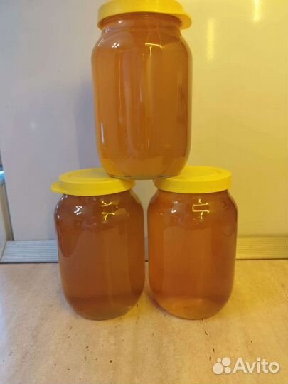 Мёд цветочный с рапсом. Бесплатная доставка