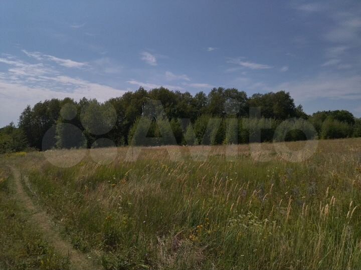 Участок 1,3 га (ИЖС)