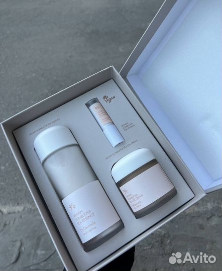 Набор комбуча 3в1