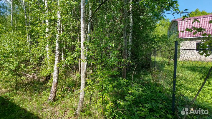 Расчистка от деревьев и кустарников, покос травы