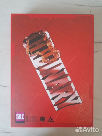 Альбом Oddinary stray kids