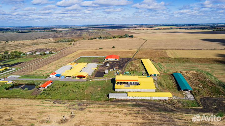 Фермерское хозяйство