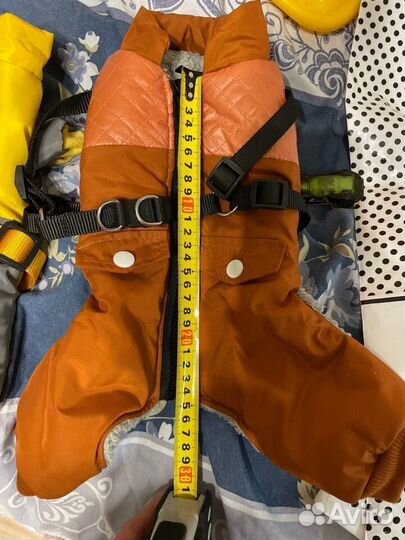 Одежда для собак мелких пород мальчика