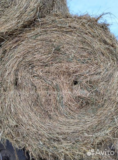 Солома в тюках