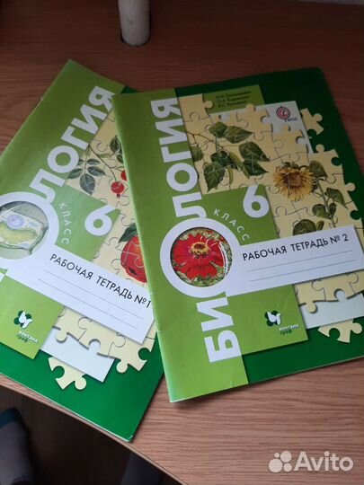 Учебники и рабочие тетради 6 класс
