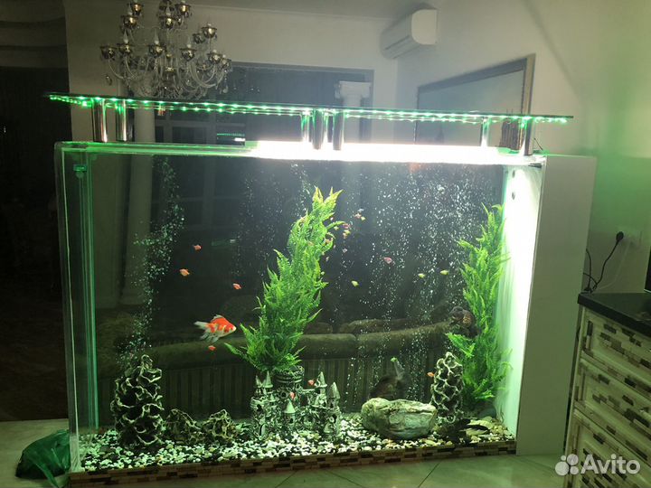 Аквариум