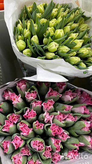 Тюльпаны - букет цветов или пачками